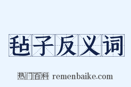 毡子反义词是什么意思的图片